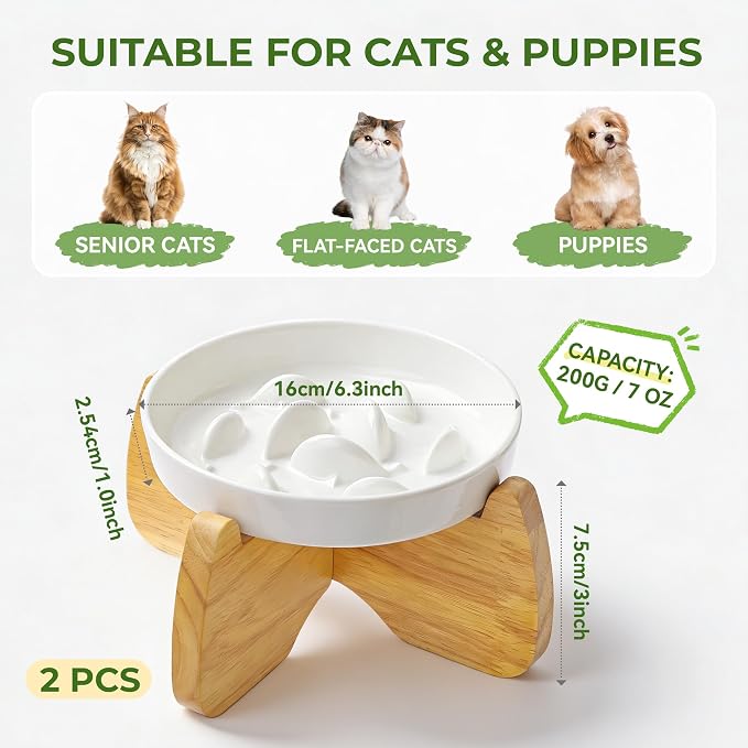 Raised Ceramic Cat Bowls 6.3" Flat & Slow Feeder Bowl (One of Each) | Anti-Gulping & Keep Fit, Water Bowl & Food Bowl, Dishwasher Safe, Neck Protective, Anti Whisker Fatigue