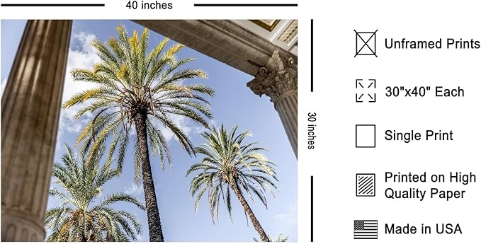 Monem Art Palermo Palm Trees Sicily Print - Tropical European Architecture Poster - Wall Decor for Living Room, Bedroom or Office - 30x40 Unframed Wall Art by Mareike Bohmer