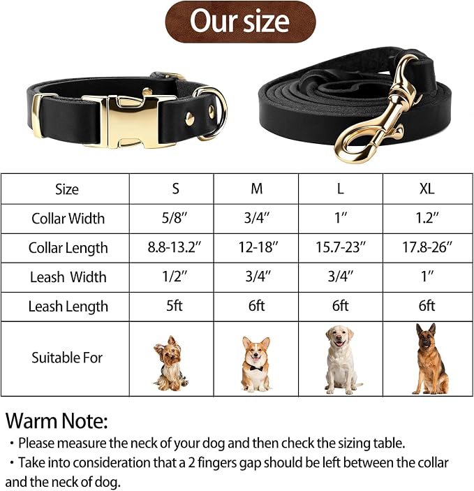 Leather Dog Collar and Leash Set, 5FT Heavy Duty Leather Training Leash with Adjustable Dog Collar, Soft and Durable Dogs Leashes and Collars Set for Small Medium Large Dogs (Black, S)