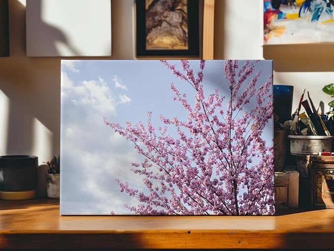 Monem Art Cherry Blossom Spring Sky Photography Print - Floral Nature Art Poster - Wall Decor for Living Room, Bedroom or Office - 8x10 STRETCHED CANVAS Wall Art by Mareike Bohmer