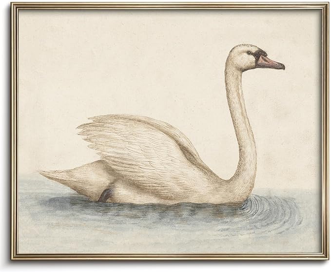 Vodefoad Vintage Wall Art Prints Decor Classical Swan Canvas Oil Painting Poster Pastel Watercolor Swan Vintage Art Pictures Farmhouse Style Wall Decor for Gallery Nursery Bedroom Bathroom Office - 8x10Inch Unframe