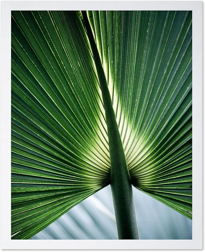 Monem Art Tropical Palm Leaf Macro Photography Print - Minimalist Botanical Nature Art Poster - Wall Decor for Living Room, Bedroom or Office - 16x20 White Framed Wall Art by Mareike Bohmer