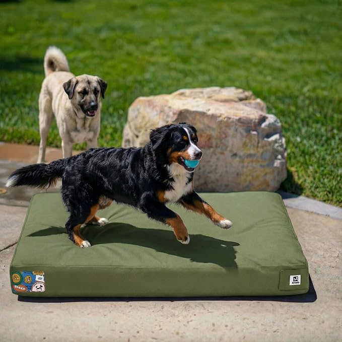 Sytopia 47 Inch Canvas Indestructible Outdoor Dog Bed for XXL Dogs, Chew Proof Pet Bed with Waterproof Machine Washable Removable Cover, Durable Indoor Patio Pet Pad for Crate, Green