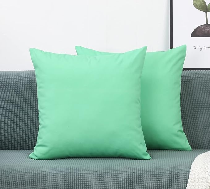 TangDepot 100% Cotton Solid Throw Pillow Cover 28x28 Mint Green | 100% cotton, same-color zip, machine wash & air dry. For living room, bedroom, office, car. 42 colors, 606 sizes. Cover only.