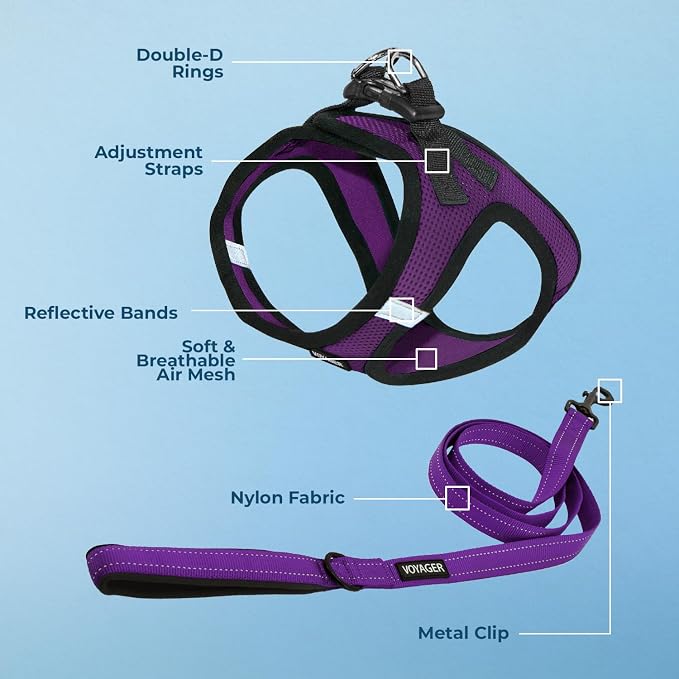 Best Pet Supplies Voyager Step-in Air All Weather Mesh Harness and Reflective Dog 5ft Leash Combo with Neoprene Handle, for Small, Medium and Large Breed Puppies - Purple/Black Trim, Medium