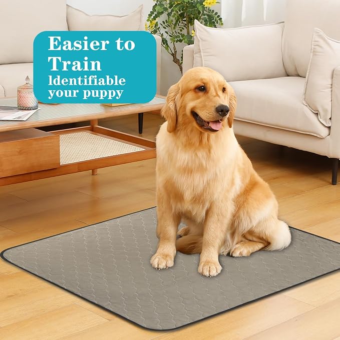 Bunlitent Washable Pee Pads for Dogs 36" x 48", 5 Pack, Reusable Potty Buddy for Dogs Washable, Dog Training Pads with Quick Dry, Large Anti-Slip Whelping Pad for Pet, Playpen, Incontinence