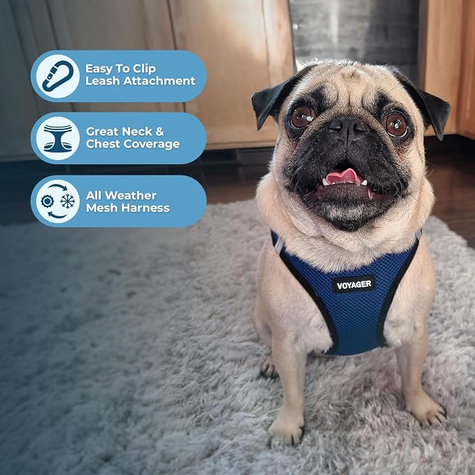 Best Pet Supplies Voyager Step-in Air All Weather Mesh Harness and Reflective Dog 5ft Leash Combo with Neoprene Handle, for Small, Medium and Large Breed Puppies - Blue/Black Trim, Small