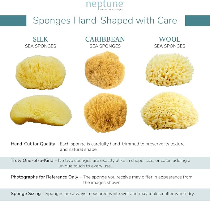 Neptune Caribbean Sea Sponge 2 Pack for Face & Body, Medium Approx. 5-6 Inch, Ultra-Soft Bath Sponge, Eco-Friendly & Biodegradable