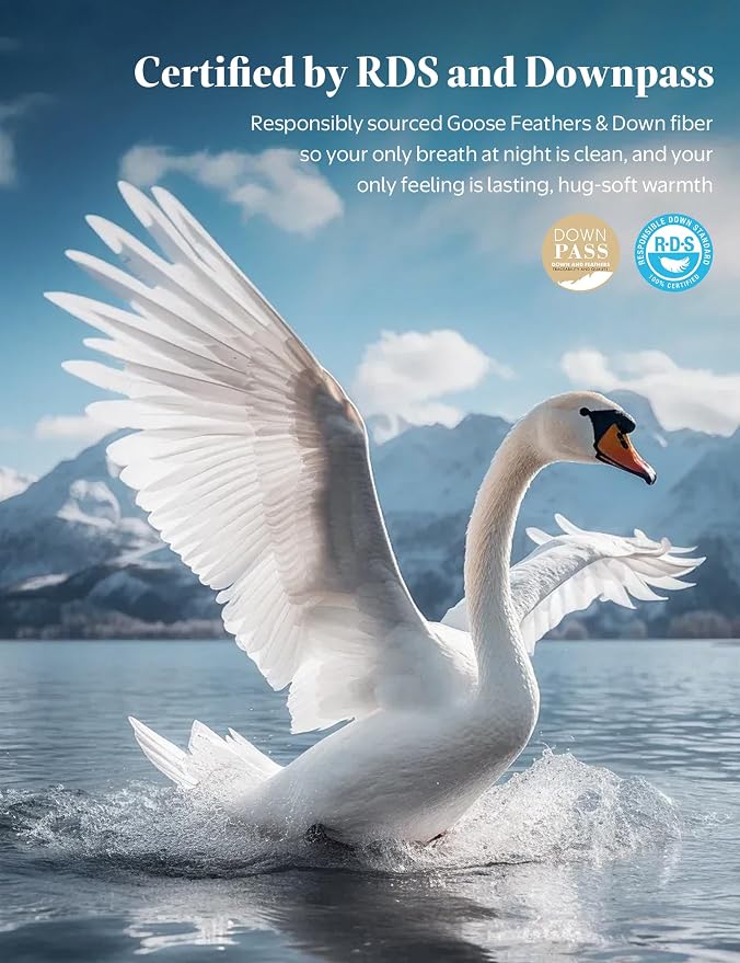 BPC Goose Feather Down Fiber Comforter Queen Size – 100% Organic Cotton Cover, 750 Fill Power Extra Fluffy All Season Duvet Insert, Medium Warmth (90"x90", White)