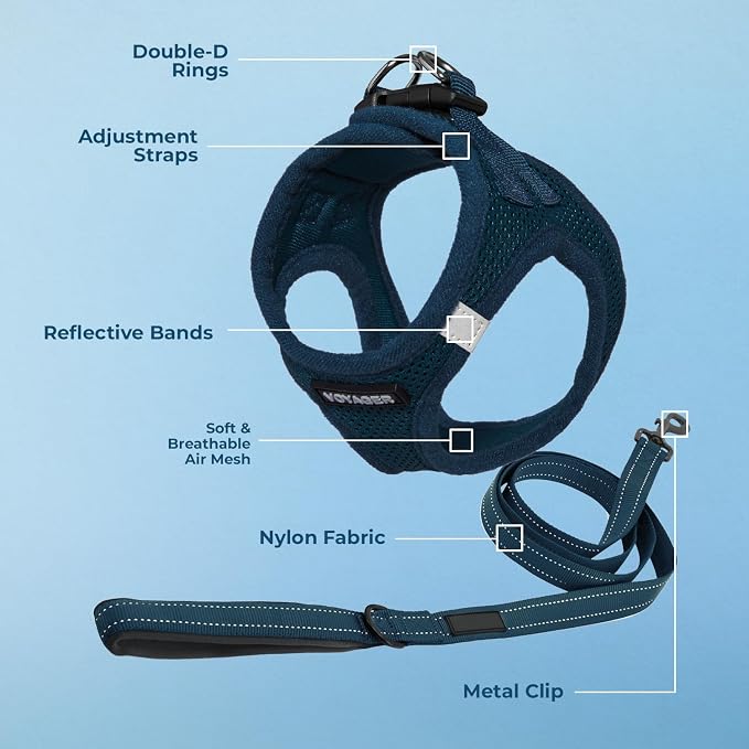 Best Pet Supplies Voyager Step-in Air All Weather Mesh Harness and Reflective Dog 5ft Leash Combo with Neoprene Handle, for Small, Medium and Large Breed Puppies - Blue, X-Small
