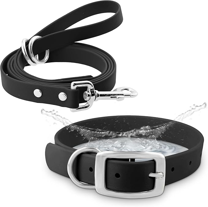 Regal Dog Products Medium Black Waterproof Dog Collar and Leash Set | Heavy Duty Double Buckle & D Ring - 5'ft Leash | Adjustable Biothane Dog Collar | Chew Resistant Waterproof Collar for Dogs