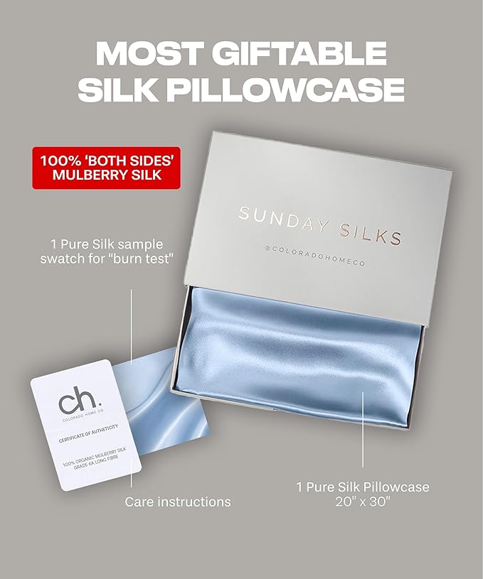SUNDAYSILKS™ Premium Silk Pillow Cases | 100% Mulberry Silk Pillowcase with Zipper, All Sides Real 22 Momme Grade 6A Silk, Standard Queen, King Size [Topaz Blue]