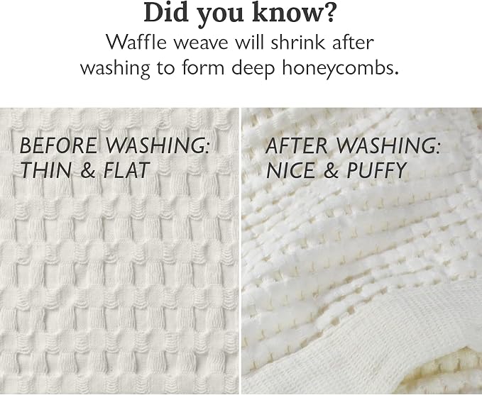 GILDEN TREE Waffle Hand Towels for Bathroom Quick Dry Large Luxury Lint Free Super Absorbent Cotton Hand Towels Set of 2, Modern Style (Cream)