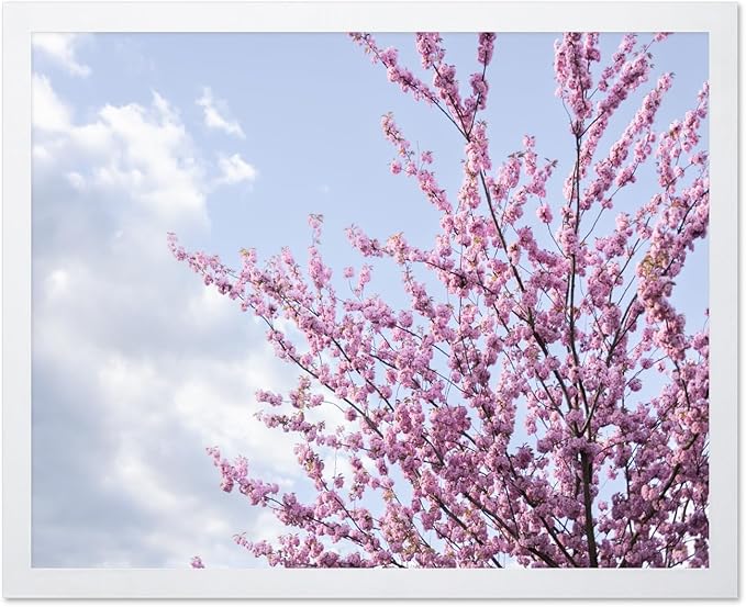 Monem Art Cherry Blossom Spring Sky Photography Print - Floral Nature Art Poster - Wall Decor for Living Room, Bedroom or Office - 12x16 White Framed Wall Art by Mareike Bohmer