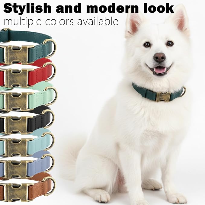 Silicone Dog Collar and Leash Set, Waterproof & Odor-Proof Puppy Collar for Small Dogs, Soft Flexible Leather-Look Dog Collars, Durable Thick Adjustable Pet Collar (Black, Large (16-24.5" Neck))