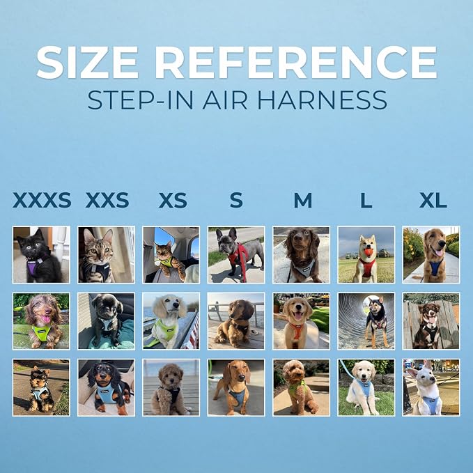 Best Pet Supplies Voyager Step-in Air All Weather Mesh Harness and Reflective Dog 5ft Leash Combo with Neoprene Handle, for Small, Medium and Large Breed Puppies - Baby Blue/Black Trim, X-Large