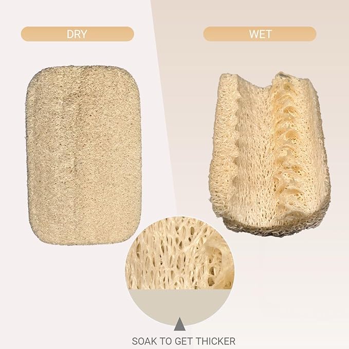 Natural Loofah Dish Sponge 10 Pack, Plant-Based Kitchen Scrubber for Dishes, Pots & Pans, Eco-Friendly Biodegradable Cleaning Sponge