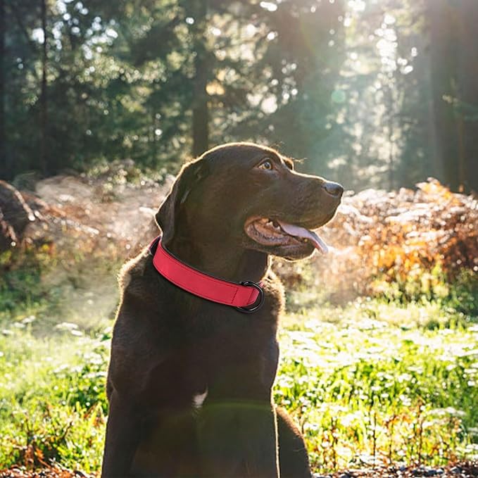 Didog Soft Padded PU Leather Dog Collar, Breathable and Adjustable Red Dog Collars for Medium Dogs, Comfortable for Daily Walk, Red, L Fit Neck 14-18"(22-44 lbs)