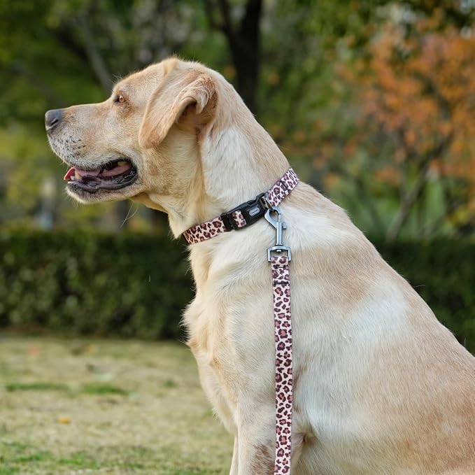 Dog Collar Leash Set, Leopard Pattern, Polyester Material, Adjustable Collar and 5ft Matching Leash, for Medium Dogs.(M, Light Coffee Leopard)