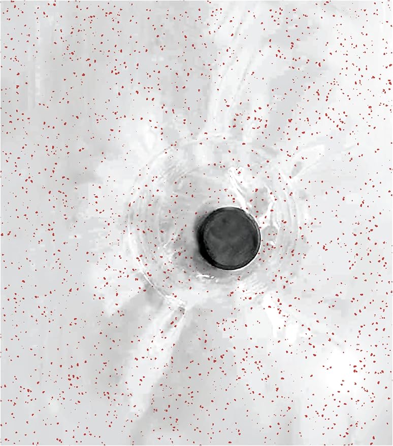 Home Expressions 6 Gauge PEVA Liner Magnetic Shower Curtain Liner 70"x72" (RED Glitter)