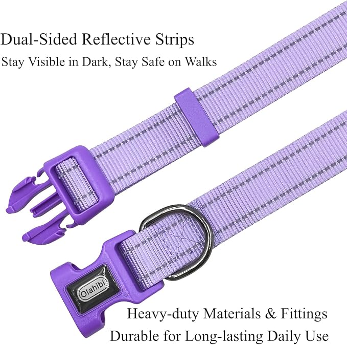 Dog Collar Leash Set,with Relfective Strips,Lilac Purple,Small. | Adjustable Collar,5 ft Matching Leash,Neoprene Padded Handle.