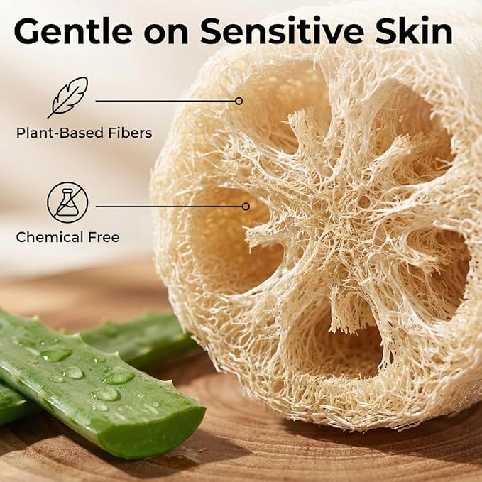 Natural Loofah Sponges 2 Pack of Organic Loofahs（Two Whole loofah） Exfoliating Scrubber Friendly 100% All Natural luffa Cleaning for Deep Clean Skin Care Bath Spa Shower Women