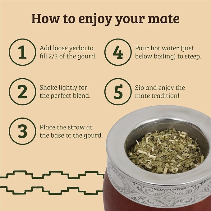 Mate Imperial – Yerba Mate Cup and Bombilla Set | Handmade Argentina Mate Gourd | Stainless Steel Mate Mug for Tea Lovers | Unique Cultural Gift (MIRROR, WINE)