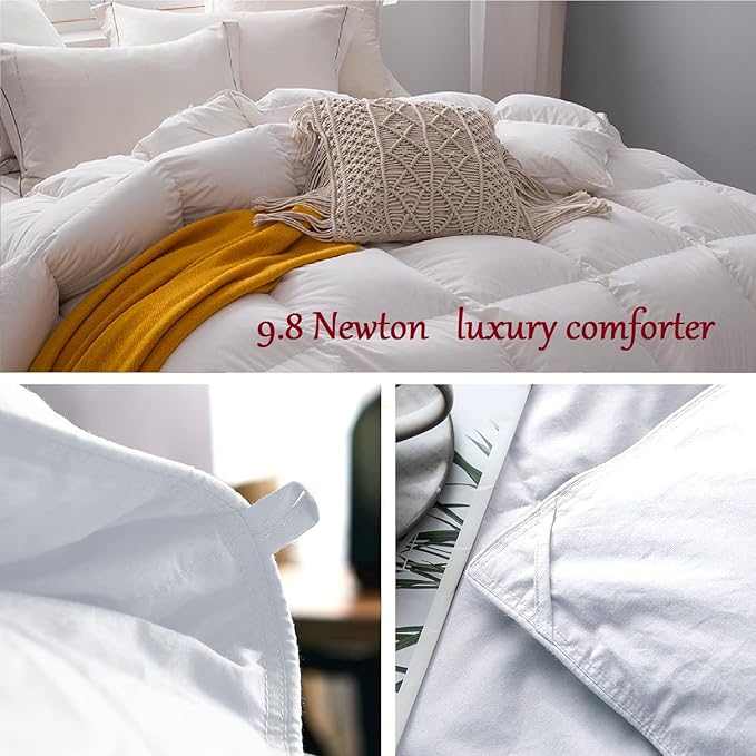 9.8 NEWTON Eco Friendly All Season Down Alternative Comforter Super King Plus, 120x120 inch Orange Comforter Duvet Insert, 100% Microfiber Cotton, 1000-TC, 700+ Fill Power-120"x120"