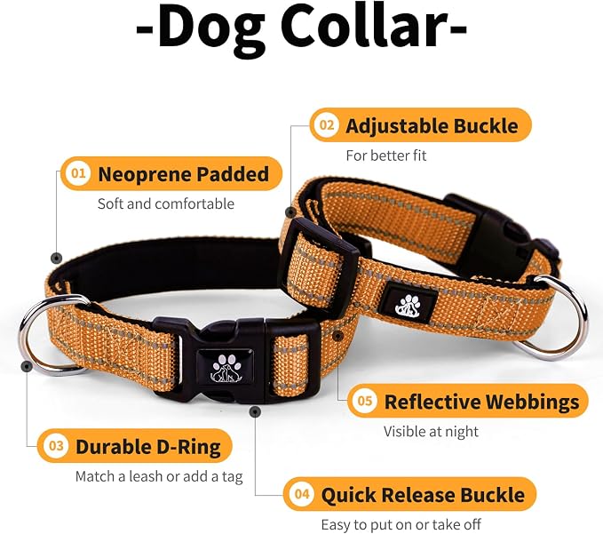IVY&LANE Reflective Dog Collar and Leash Set,Adjustable Neoprene Padded Dog Collars for Puppy, Breathable Nylon Pet Collar for Small Medium Large Dogs(Small,Orange)