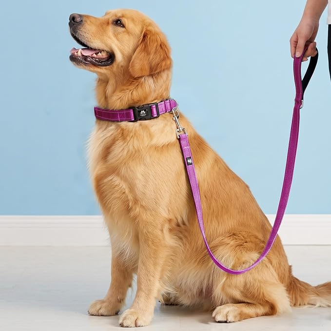 FURRYFECTION Reflective Dog Collar and Leash Set With Quick Release Buckle, Padded Neoprene Adjustable Nylon for Small Medium and Large Dogs (Small Collar+5FT Leash, Hot Pink)