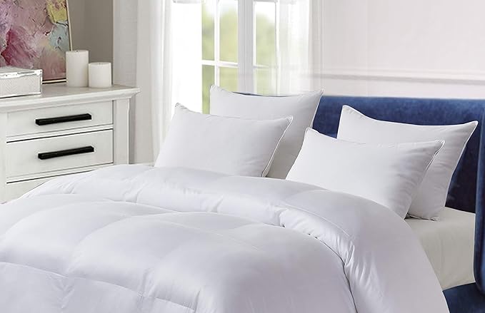 Blue Ridge Home Fashions Microfiber All Season Light Weight Down Alternative Comforter-Hypoallergenic Microfiber Fill, Full/Queen, White