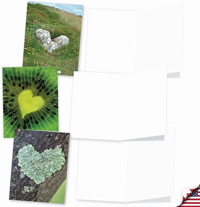 The Best Card Company - 20 Cute Boxed Cards (4 x 5.12 Inch) - Assorted Blank Set (10 Designs, 2 Each) - Heartscapes AM6838OCB-B2x10