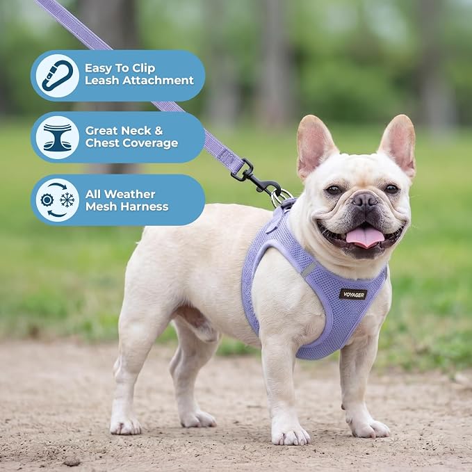 Best Pet Supplies Voyager Step-in Air All Weather Mesh Harness and Reflective Dog 5ft Leash Combo with Neoprene Handle, for Small, Medium and Large Breed Puppies - Lavender, XXXS