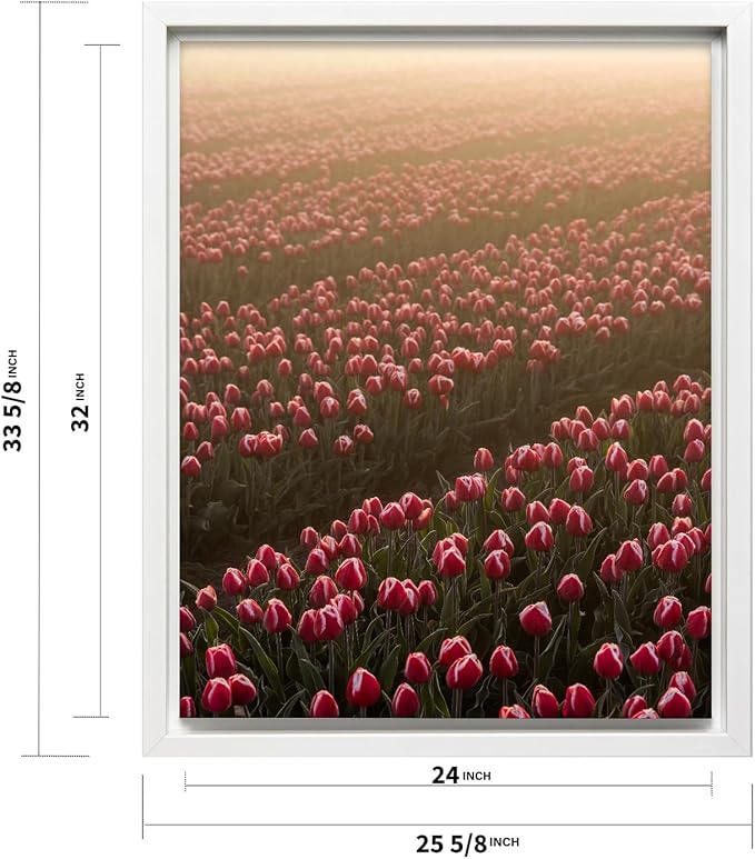 Monem Art Golden Tulip Field Sunset Photography Print - Romantic Spring Landscape Art Poster - Wall Decor for Living Room, Bedroom or Office - 24x32 White Framed CANVAS Wall Art by Mareike Bohmer