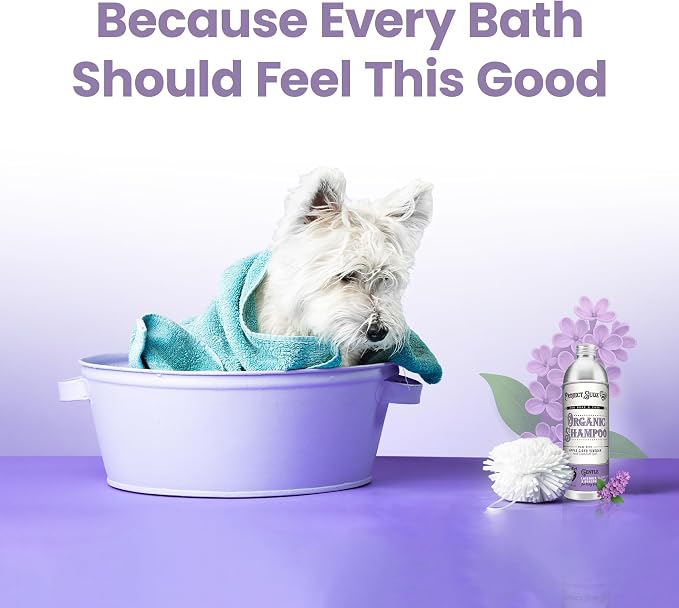 Project Sudz Gentle All Natural Dog Shampoo – Lavender | Soothing Liquid Shampoo for Dogs | Calming, Eco-Friendly, Non-Toxic, Made in USA