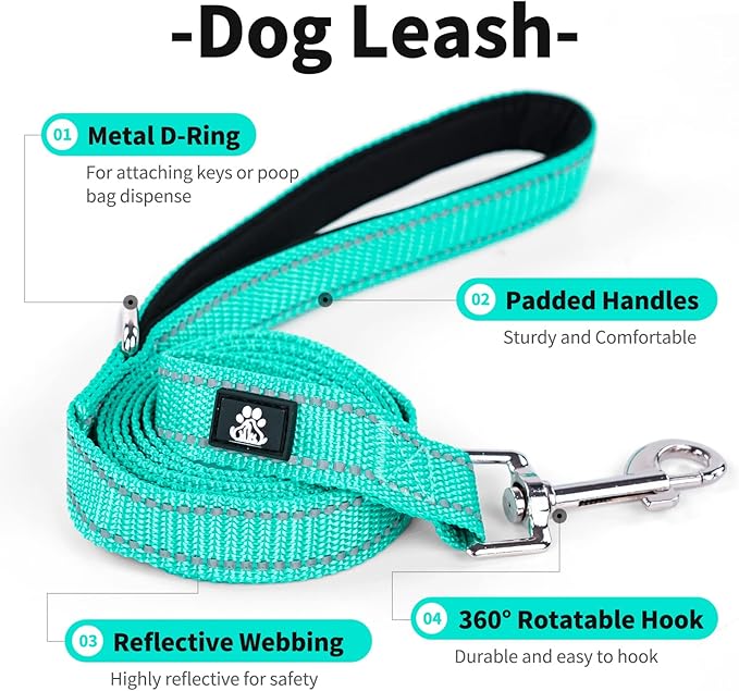 IVY&LANE 2 Pack Reflective Dog Collars and Leashs Set,Adjustable Neoprene Padded Dog Collar for Puppy, Breathable Nylon Pet Collar for Small Medium Large Dogs(Medium,Blue+Teal)