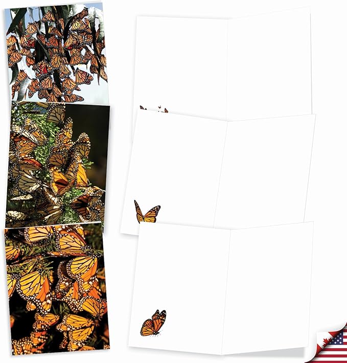 The Best Card Company - 20 Blank Notes with Envelopes - All Occasion Animal Assortment (10 Designs, 2 Each) - The Monarchs AM9538OCB-B2x10