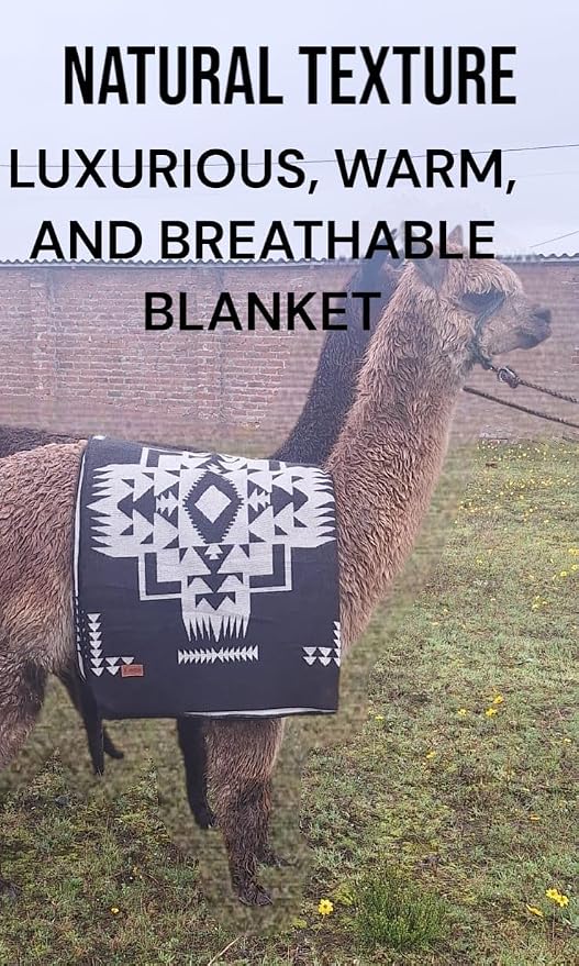 AHUAY Premium Hypoallergenic Alpaca Wool Blanket – Reversible 2-in-1 Andean Geometric Throw, Ultra Soft Warm Lightweight, Handmade in Ecuador (Imbabura Black and White, King)