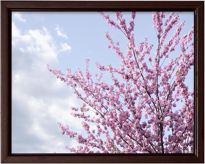 Monem Art Cherry Blossom Spring Sky Photography Print - Floral Nature Art Poster - Wall Decor for Living Room, Bedroom or Office - 8x10 Brown Framed CANVAS Wall Art by Mareike Bohmer