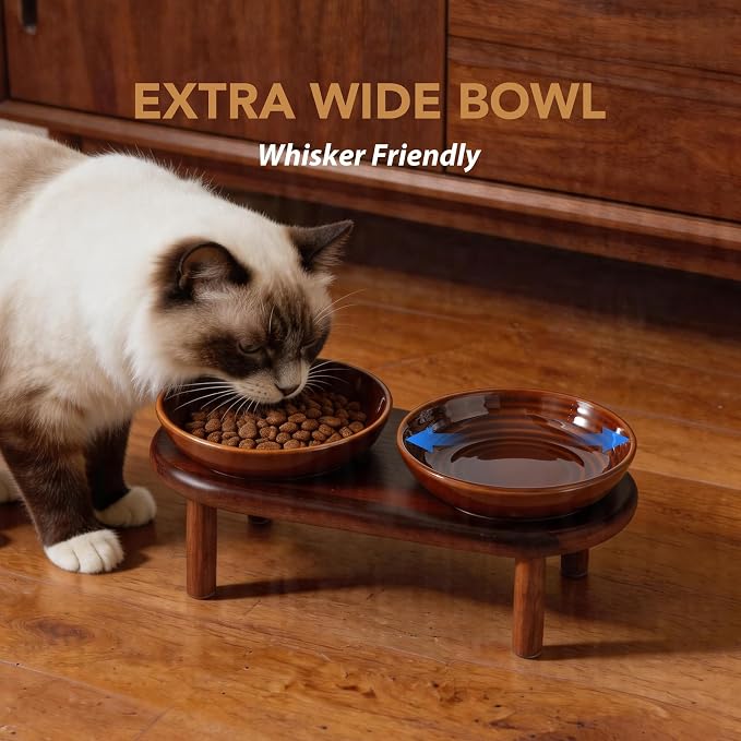 Havniva Elevated Cat Bowls Raised Ceramic Cat Bowl, 5.7” Wide Opening Cat Food Bowl Whisker Friendly Cat Dish Anti-Slip with Wood Stand, Shallow Pet Food & Water Bowl for Indoor Cats