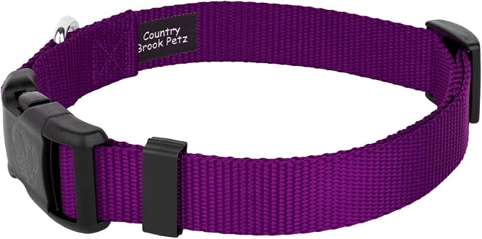 Country Brook Petz - Everyday Nylon Dog Collar and Leash - 10+ Cool Colors (3/4 Inch, Medium, Purple)