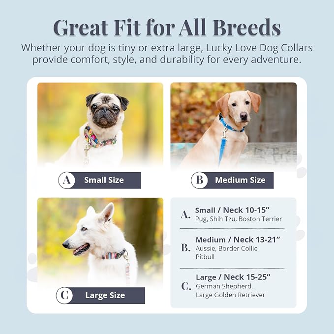 Lucky Love Dog Martingale Dog Collar - Adjustable, No-Slip, Comfortable, Durable, Soft Webbing & Stylish Patterned Collar for Male and Female Dogs Ideal for Training & Walking - Laguna, Small