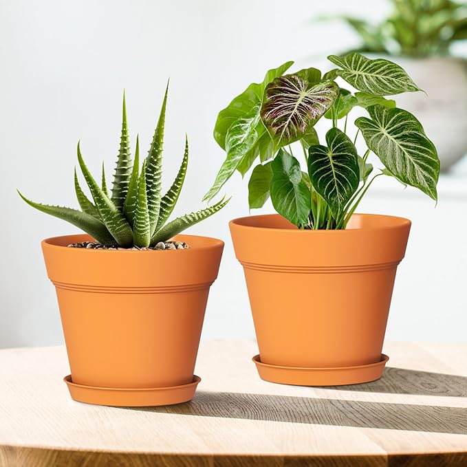 WSMKSZ 4 Inch Plastic Plant Pots with Drainage Holes and Trays – 8 Pack Small Nursery Pots for Indoor & Outdoor House Plants and Flowers, Seedling Starter Planters, Terracotta