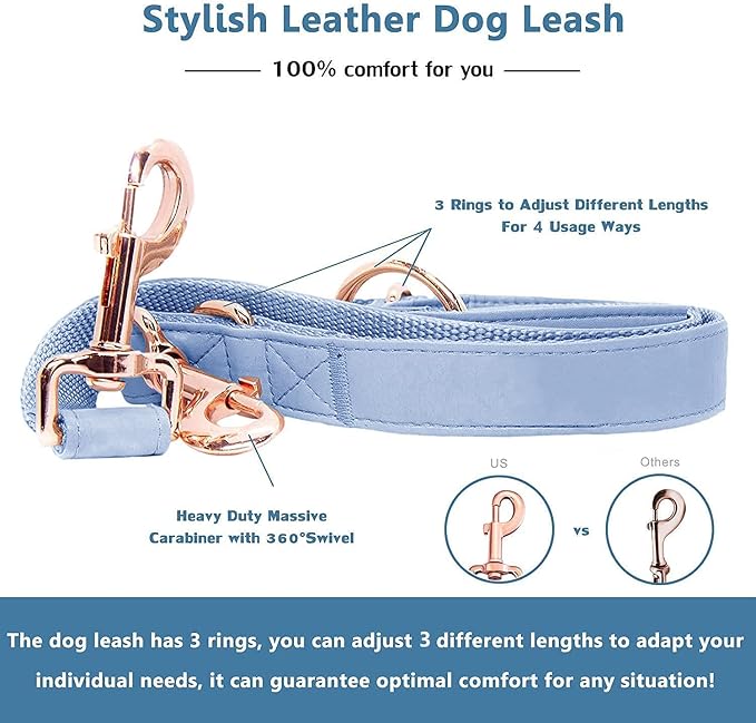 Soft Leather Dog Collar and Leash (6.6') Set - Stylish Rose Gold Heavy Duty Metal Buckle, 4 Adjustable Lengths Leash for Small Medium Large Dogs - Comfortable & Easy to Clean Blue Purple XS(8"-12")