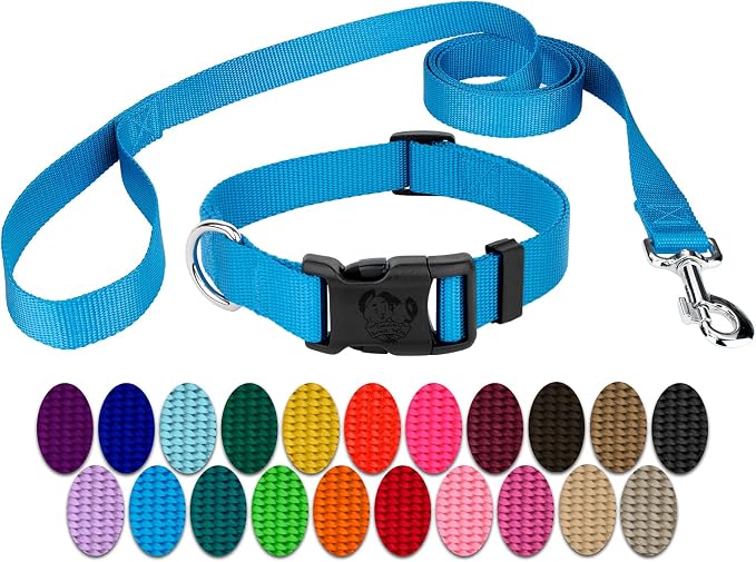 Country Brook Petz - Everyday Nylon Dog Collar and Leash - 10+ Cool Colors (3/8 Inch, 2XS, Ice Blue)
