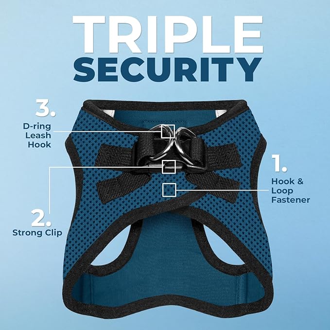 Best Pet Supplies Voyager Step-in Air All Weather Mesh Harness and Reflective Dog 5ft Leash Combo with Neoprene Handle, for Small, Medium and Large Breed Puppies - Blue/Black Trim, Large