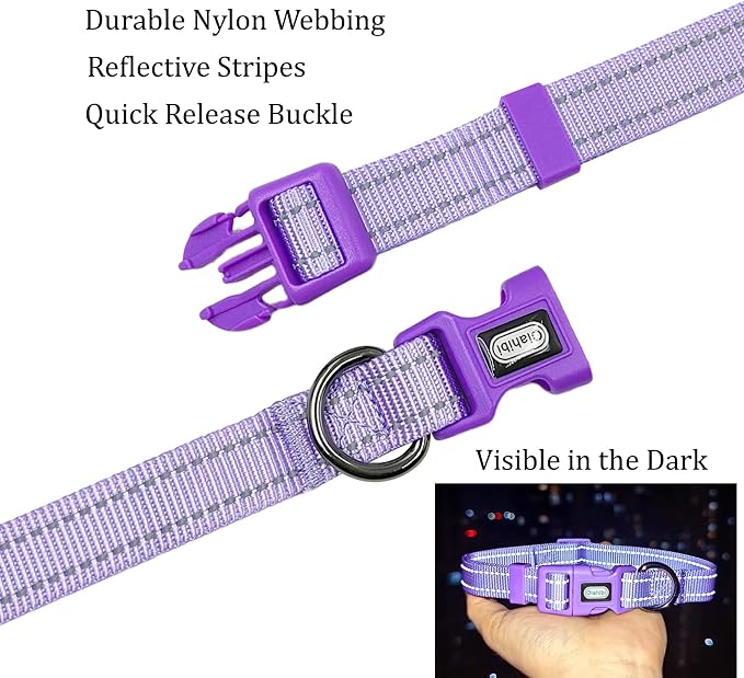Dog Collar Leash Set, Durable Polyester with Reflective Strips, 5ft Matching Leash, Adjustable 4 Sizes for Small Medium Large Dogs.(S, Purple)