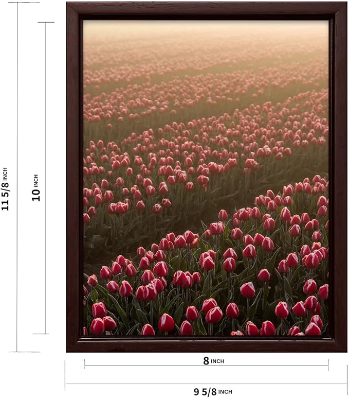 Monem Art Golden Tulip Field Sunset Photography Print - Romantic Spring Landscape Art Poster - Wall Decor for Living Room, Bedroom or Office - 8x10 Brown Framed CANVAS Wall Art by Mareike Bohmer