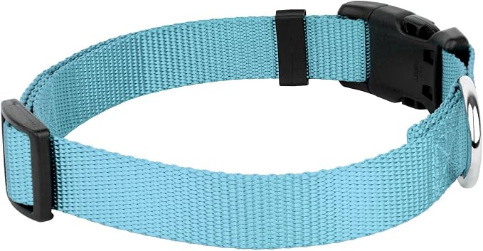 Country Brook Petz - Everyday Nylon Dog Collar and Leash - 10+ Cool Colors (3/4 Inch, Small, Ocean Blue)