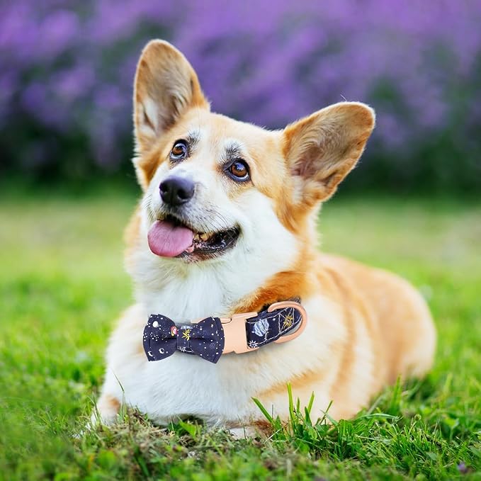 Dog Collar and Leash Set Adjustable Girls Puppy Floral Collars with Bow Tie for Small Medium Large Dogs(XS, Blue Planet)